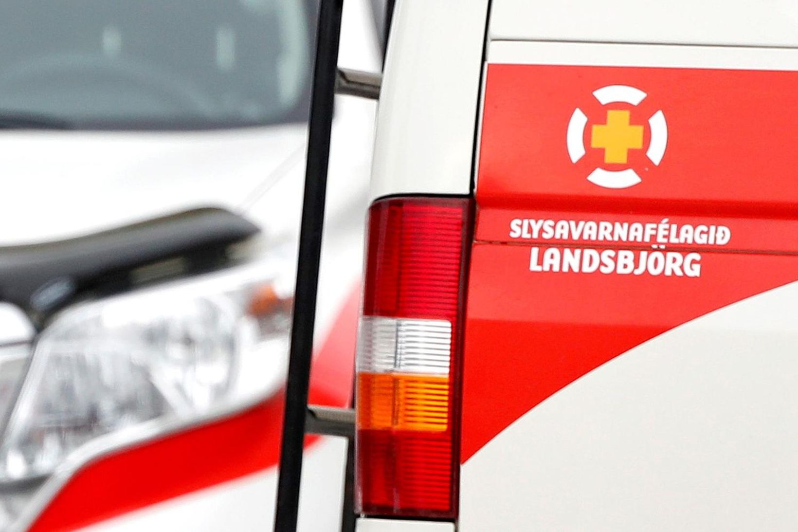 Slysavarnafélagið Landsbjörg leitaði konunnar í nótt.