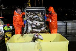 Hafrannsóknastofnun leggur til að aflamark í þorski á næsta fiskveiðiári verði lækkað um rúm 4% …